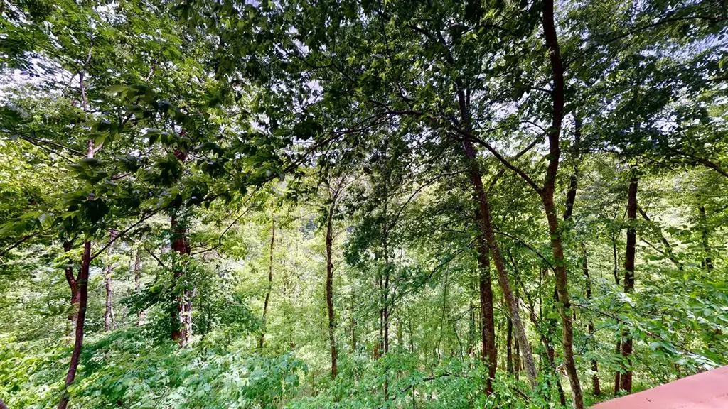 8045 Sarah Thomas Road Silver Point TN 38582