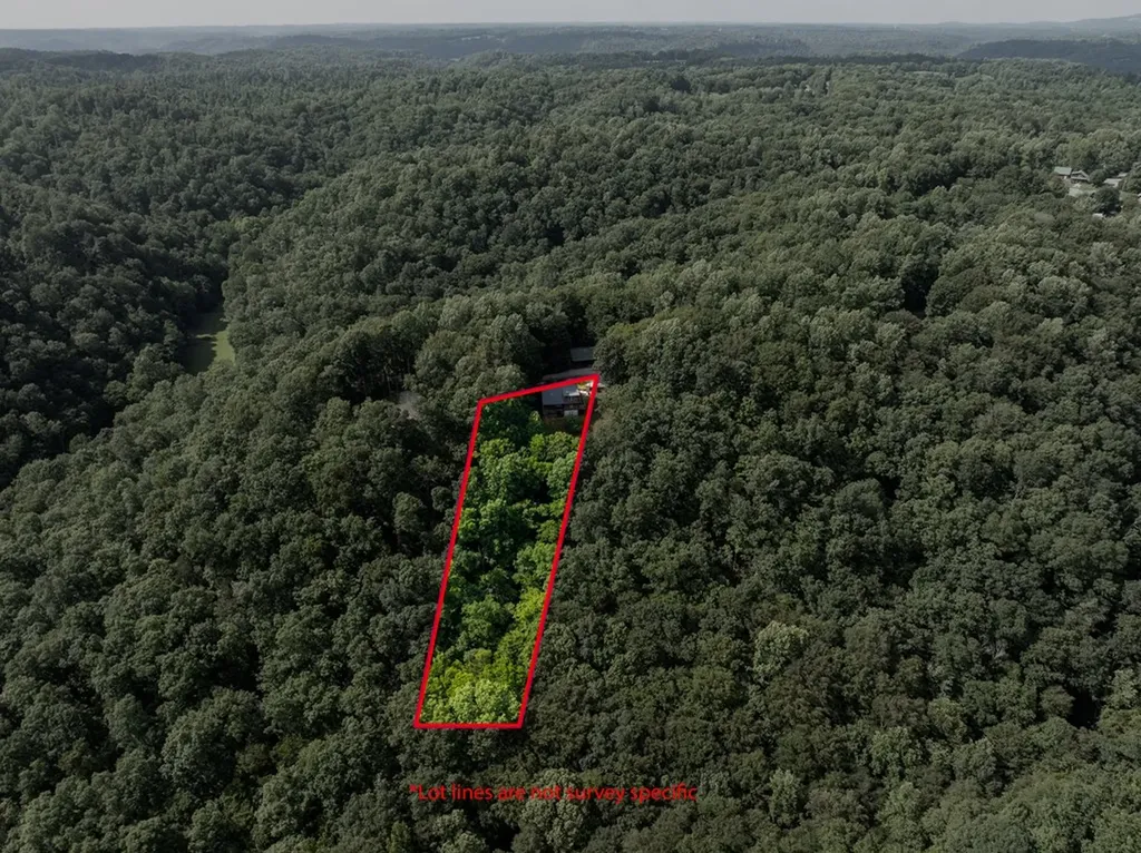 165 Kangaroo Ridge Byrdstown TN 38549