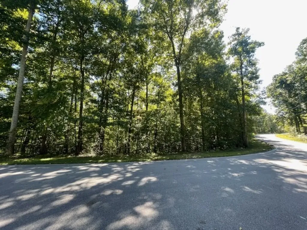 0 Coves Point Road Lot 8 Sparta TN 38583