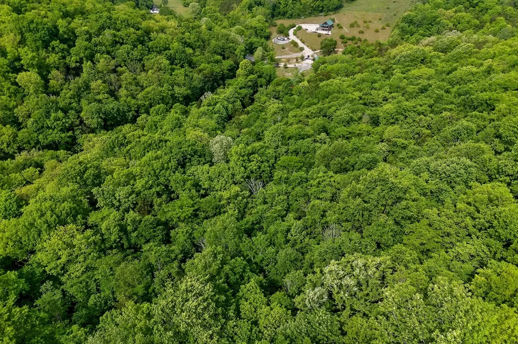 4830 Ensor Hollow Road Buffalo Valley TN 38548