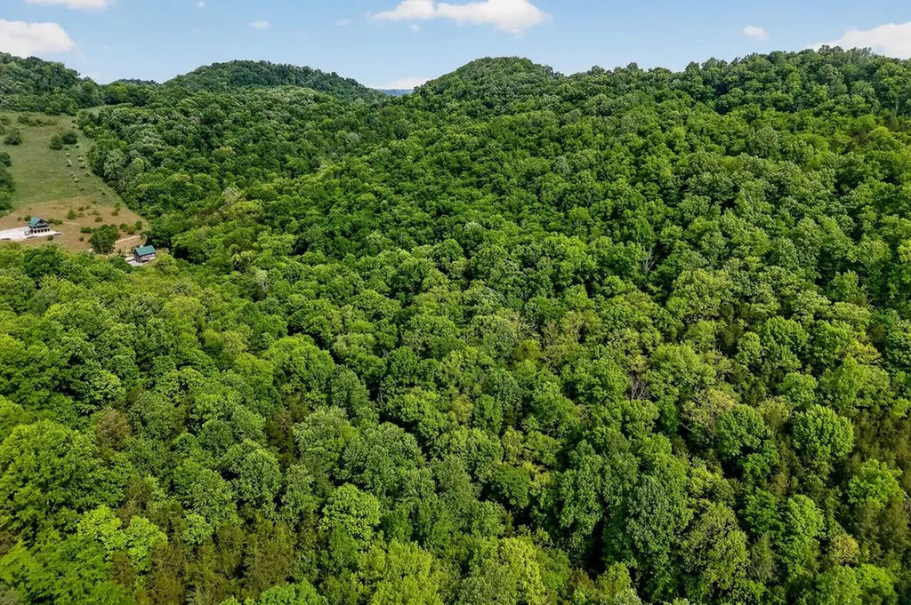 4830 Ensor Hollow Road Buffalo Valley TN 38548