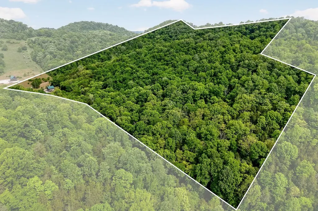 4830 Ensor Hollow Road Buffalo Valley TN 38548