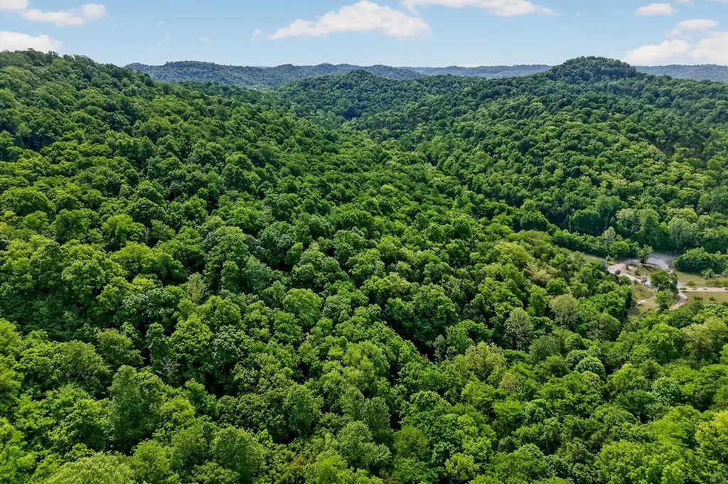 4830 Ensor Hollow Road Buffalo Valley TN 38548