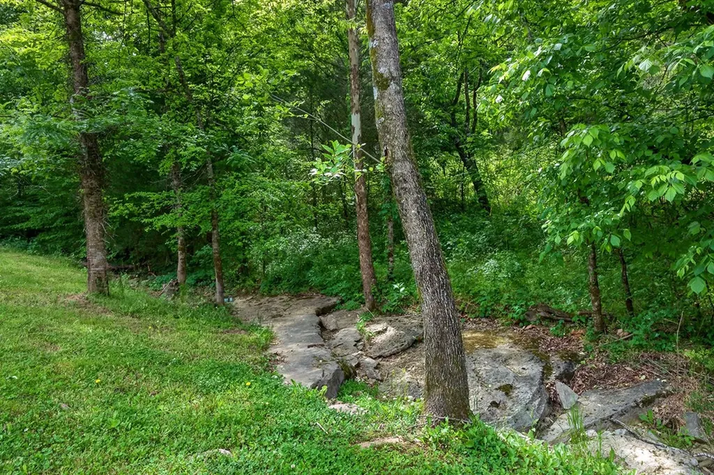 4830 Ensor Hollow Road Buffalo Valley TN 38548