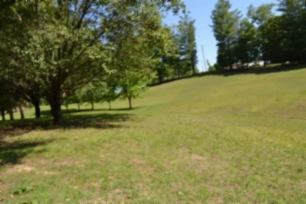 318 Rock Springs Road Celina TN 38551