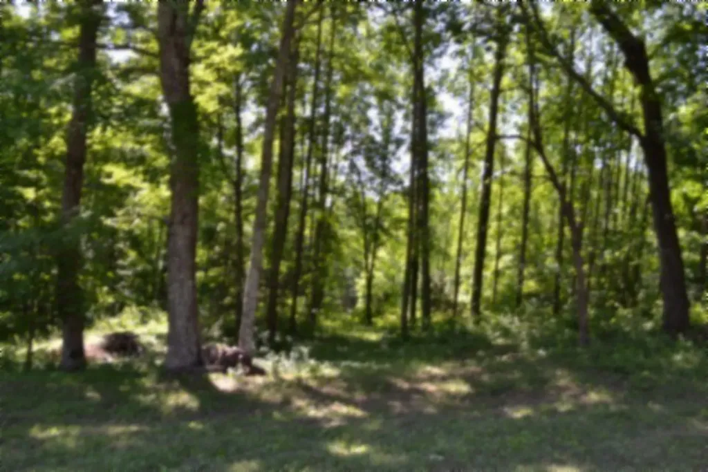 318 Rock Springs Road Celina TN 38551