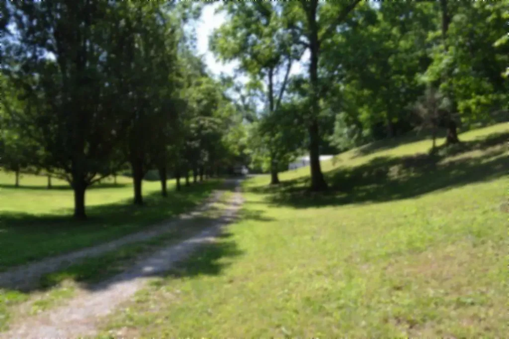318 Rock Springs Road Celina TN 38551