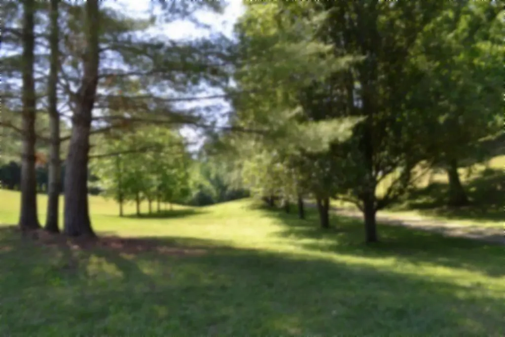 318 Rock Springs Road Celina TN 38551