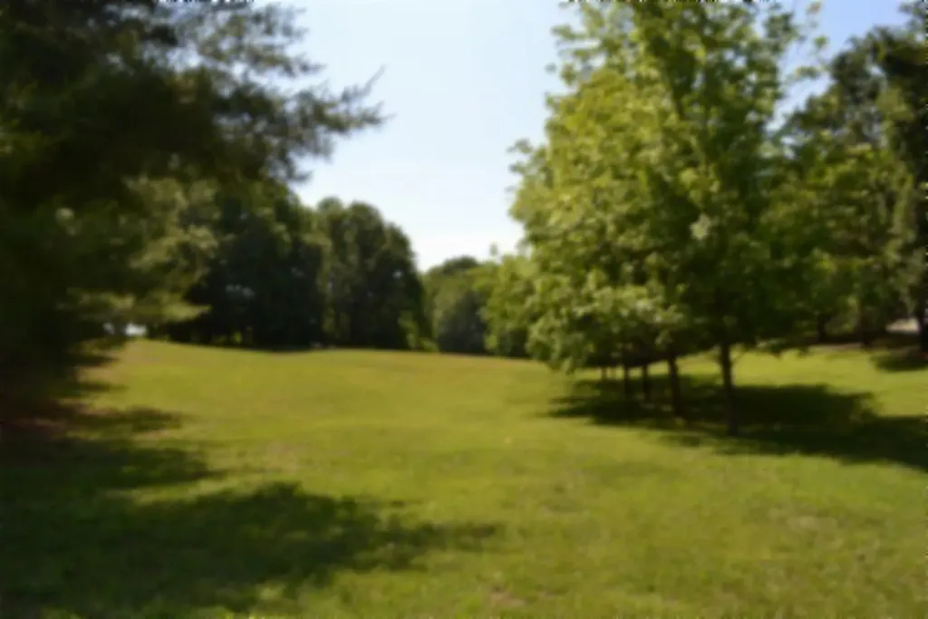318 Rock Springs Road Celina TN 38551