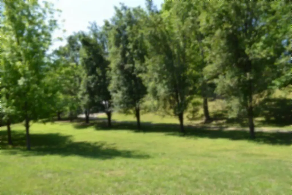 318 Rock Springs Road Celina TN 38551