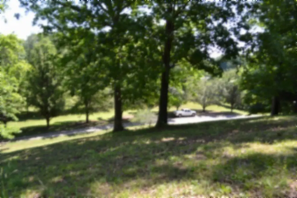 318 Rock Springs Road Celina TN 38551