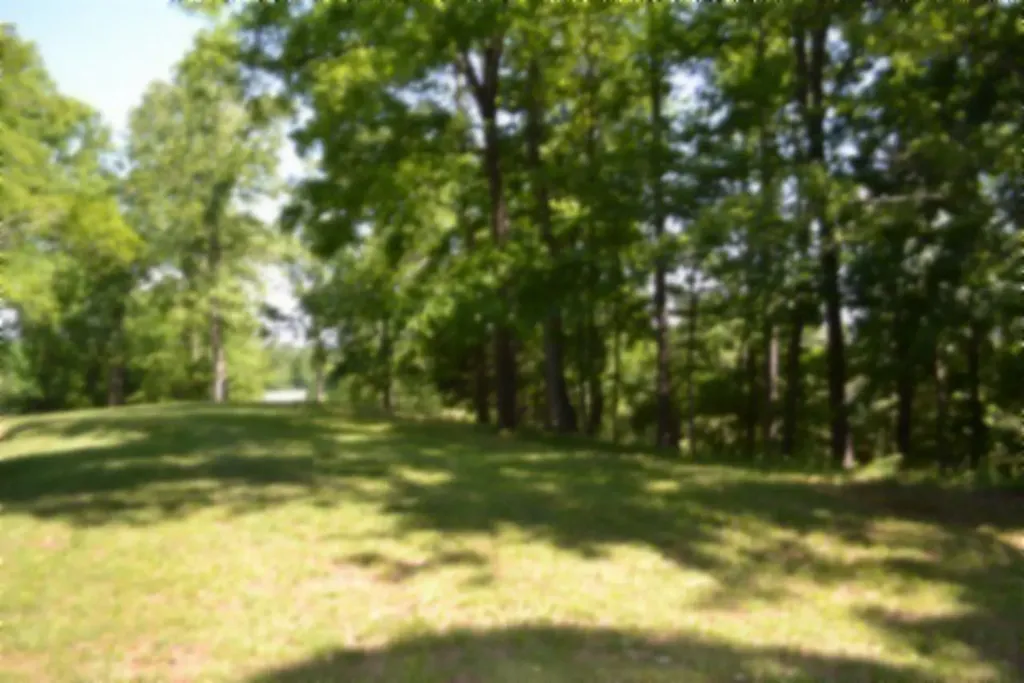 318 Rock Springs Road Celina TN 38551