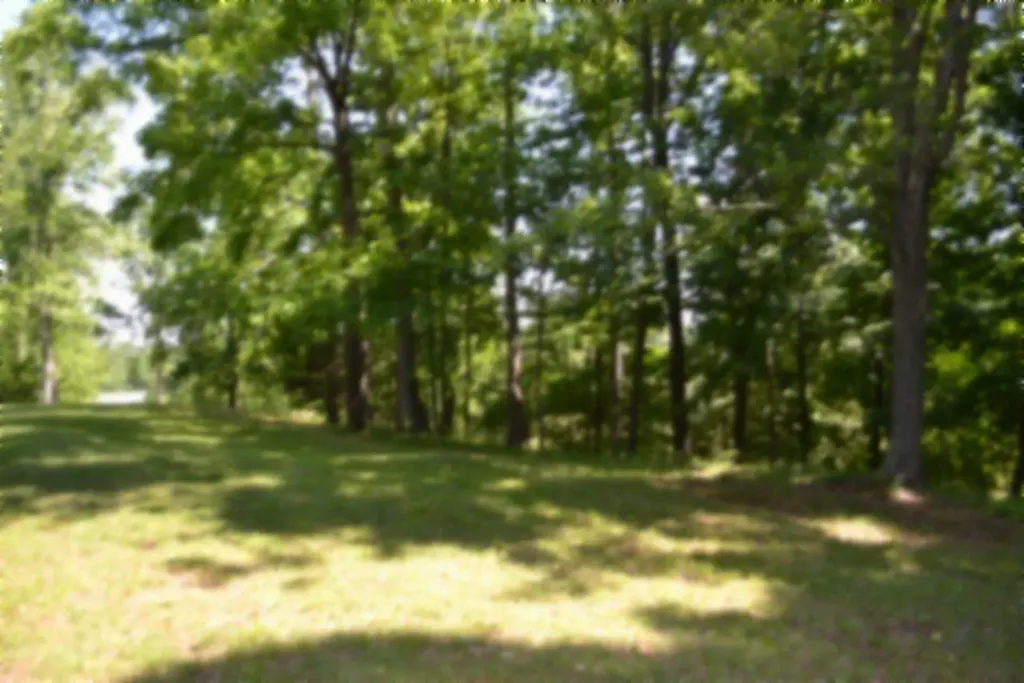 318 Rock Springs Road Celina TN 38551