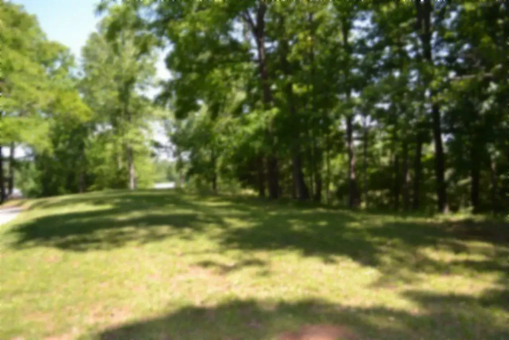 318 Rock Springs Road Celina TN 38551