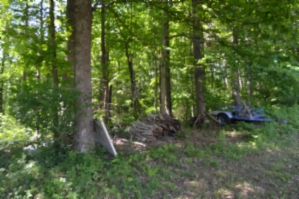 318 Rock Springs Road Celina TN 38551