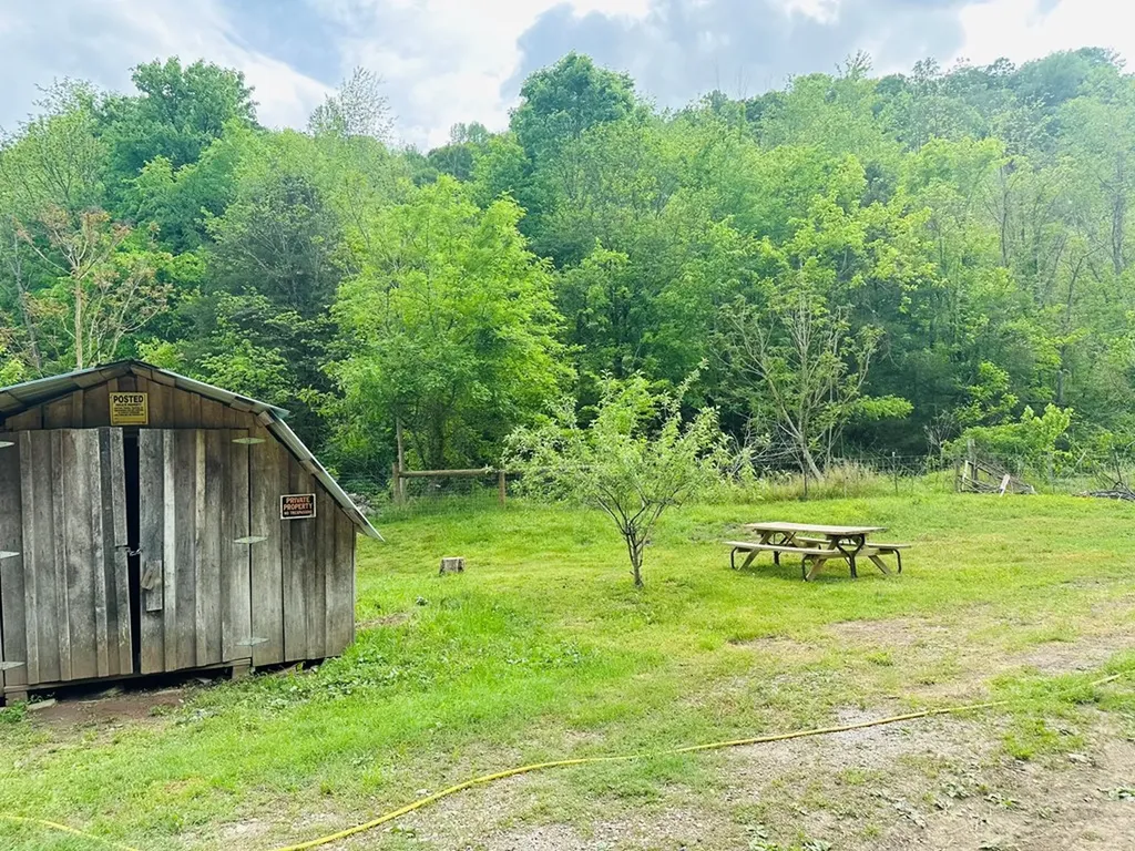 1611 Knob Creek Road Celina TN 38551