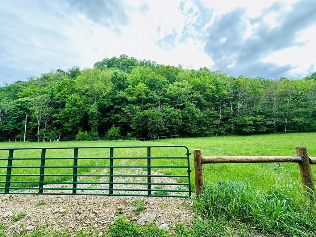 1611 Knob Creek Road Celina TN 38551