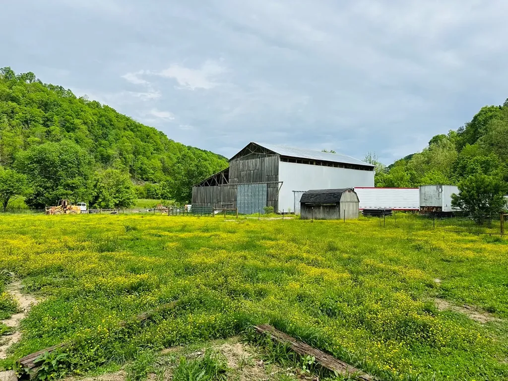 1611 Knob Creek Road Celina TN 38551
