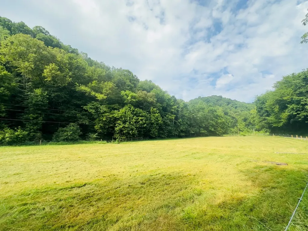 1611 Knob Creek Road Celina TN 38551