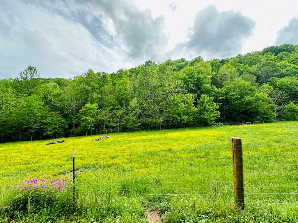 1611 Knob Creek Road Celina TN 38551