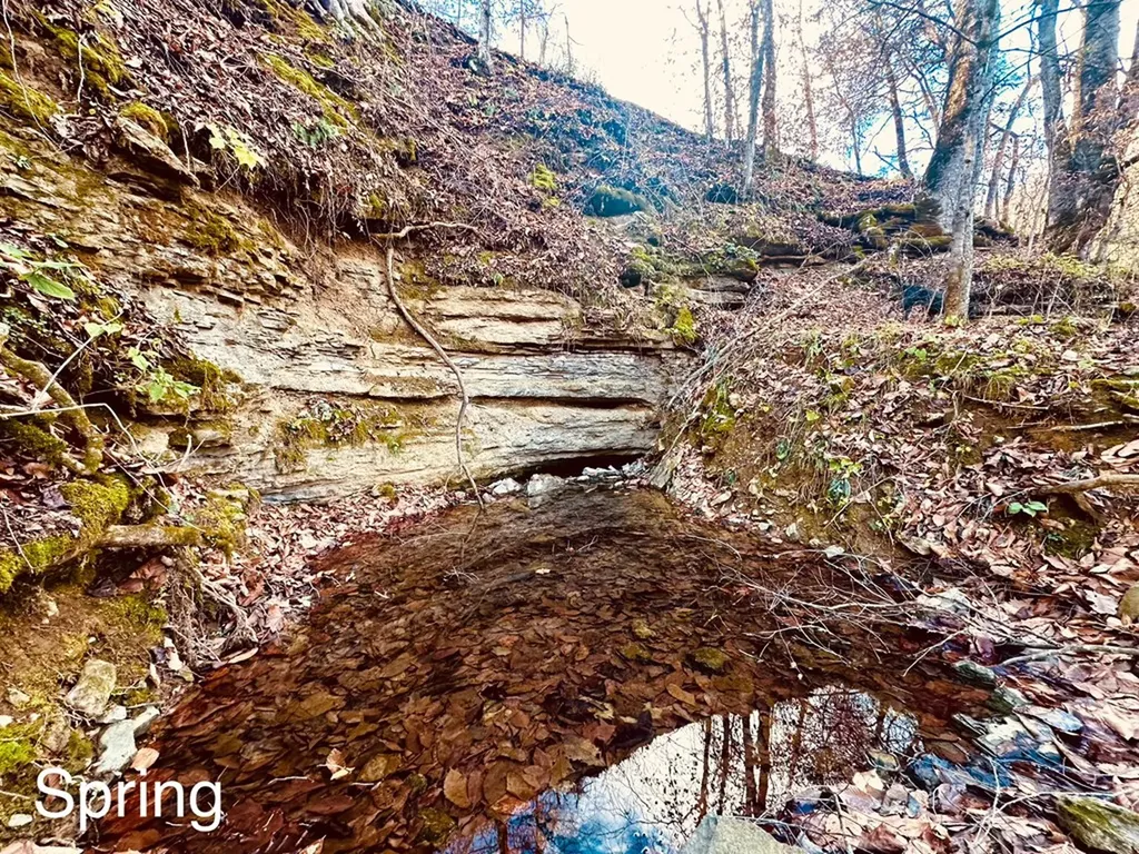 1611 Knob Creek Road Celina TN 38551