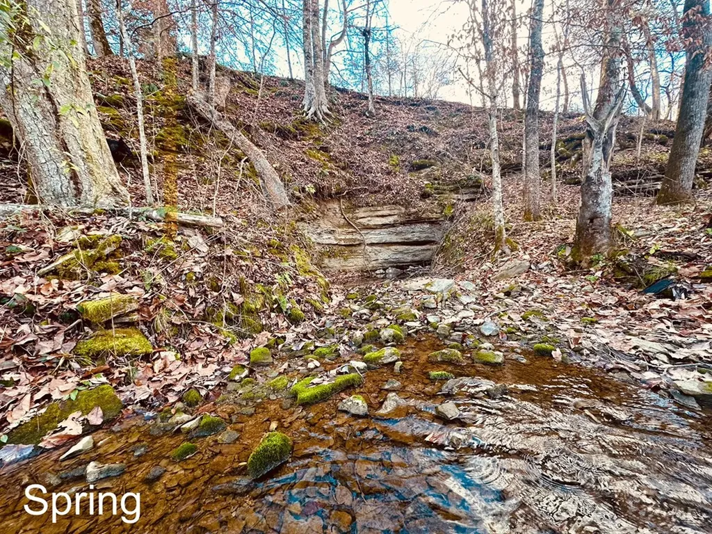 1611 Knob Creek Road Celina TN 38551