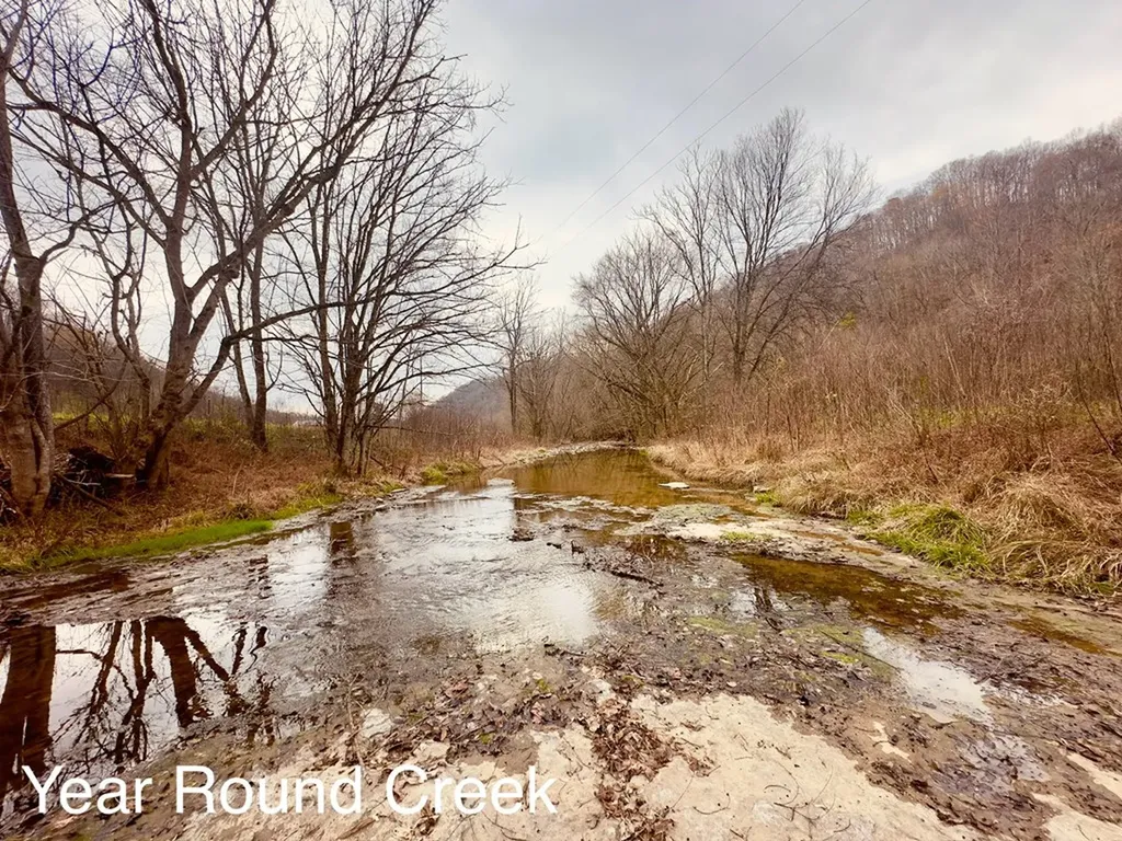 1611 Knob Creek Road Celina TN 38551