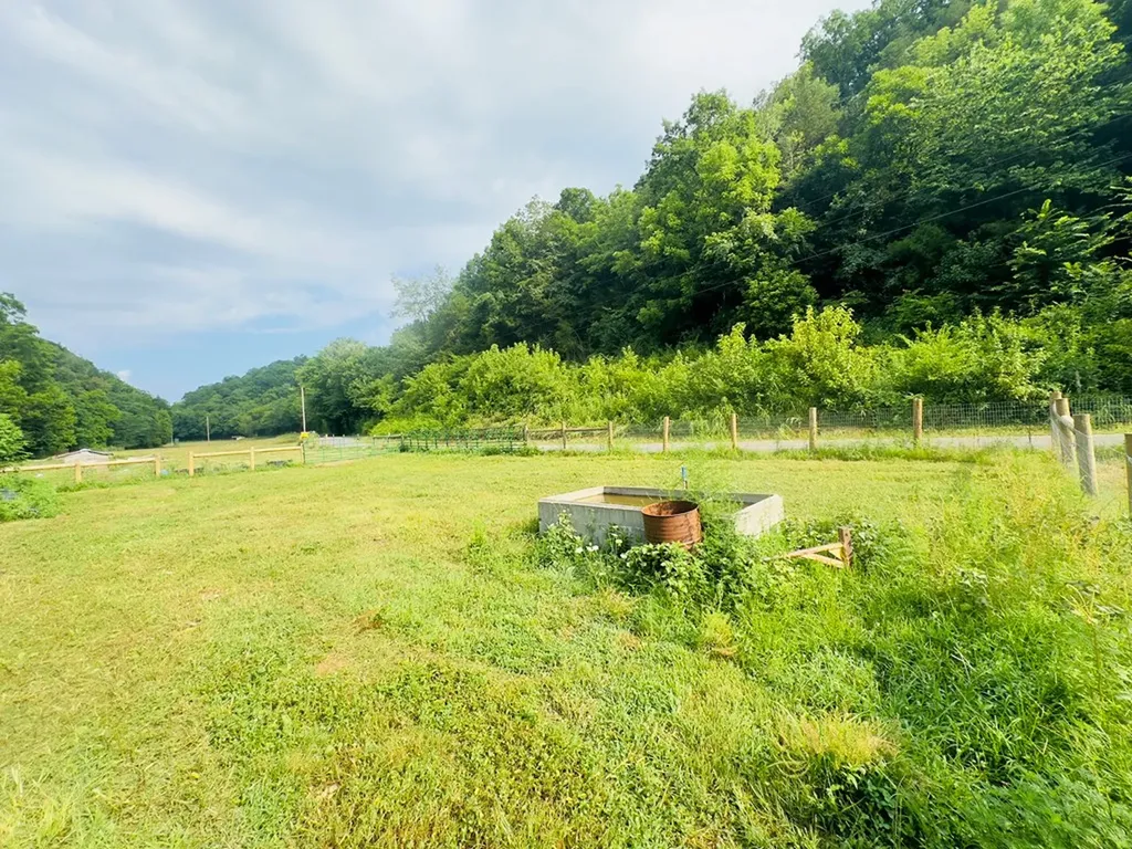 1611 Knob Creek Road Celina TN 38551
