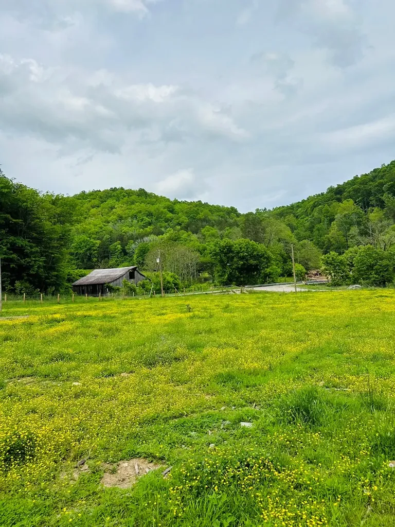 1611 Knob Creek Road Celina TN 38551