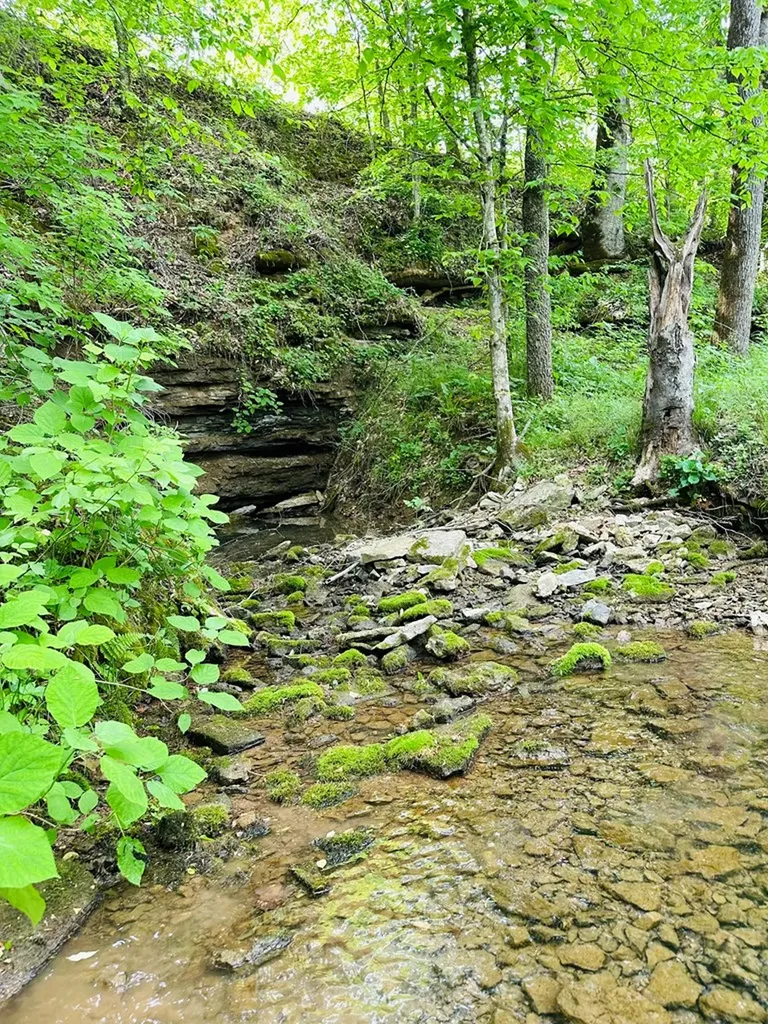 1611 Knob Creek Road Celina TN 38551