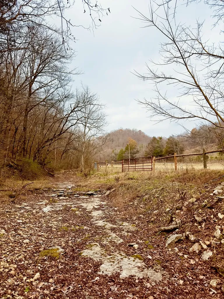 1611 Knob Creek Road Celina TN 38551