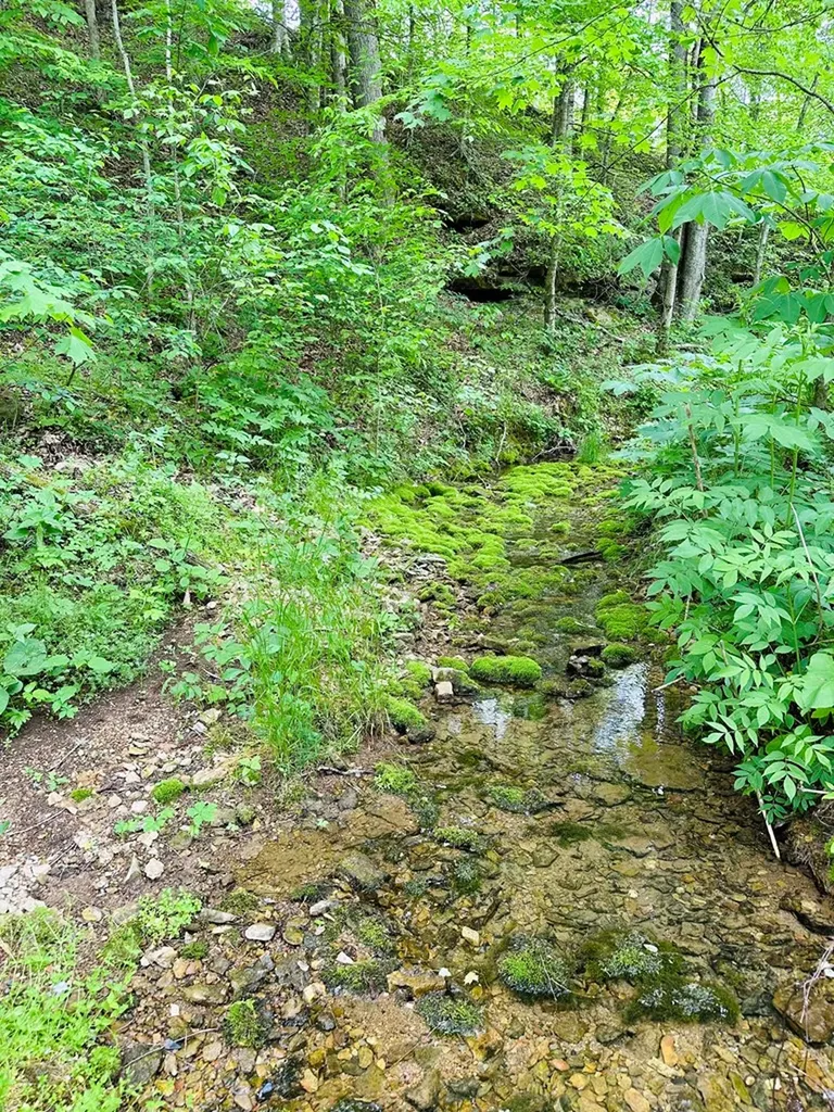 1611 Knob Creek Road Celina TN 38551