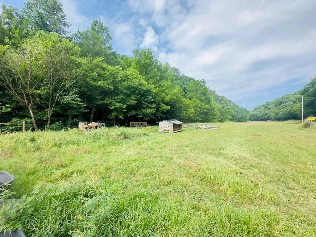 1611 Knob Creek Road Celina TN 38551