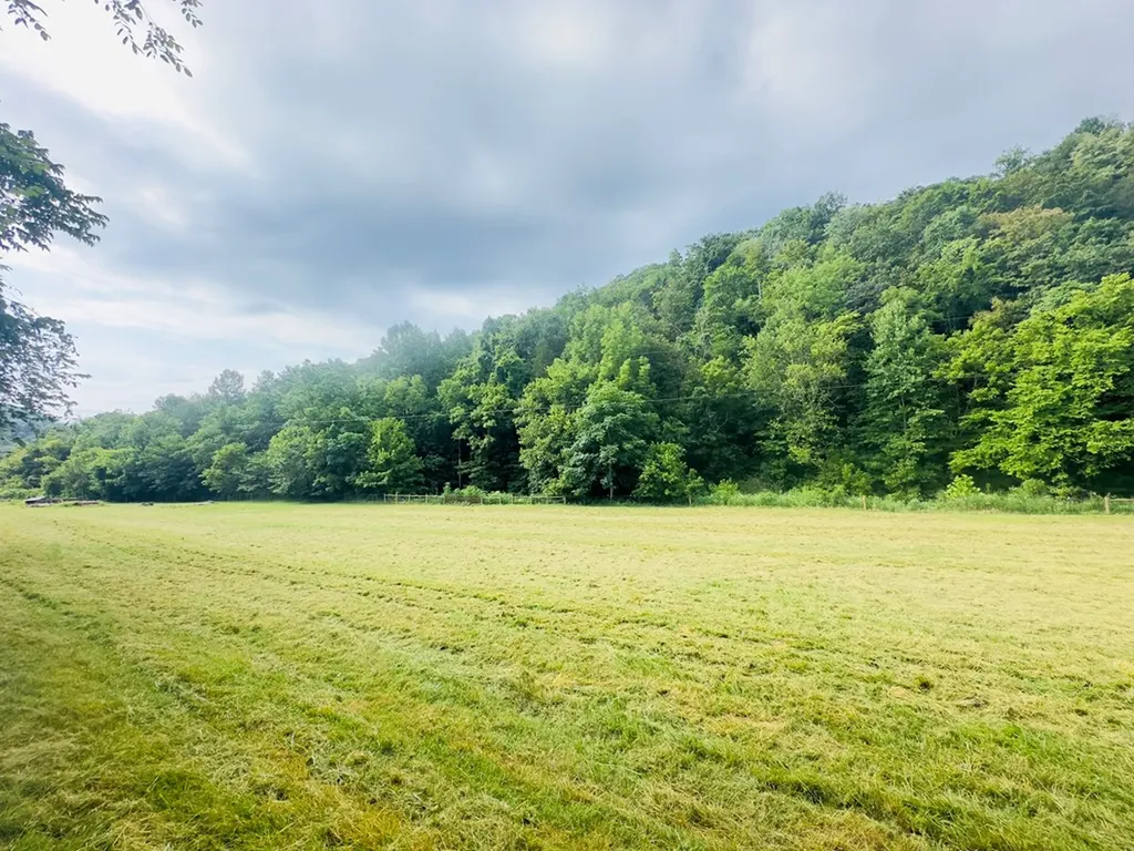 1611 Knob Creek Road Celina TN 38551