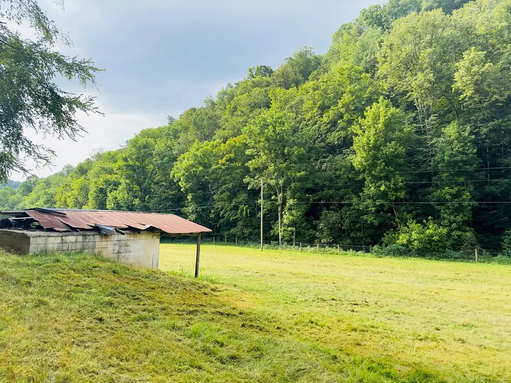 1611 Knob Creek Road Celina TN 38551