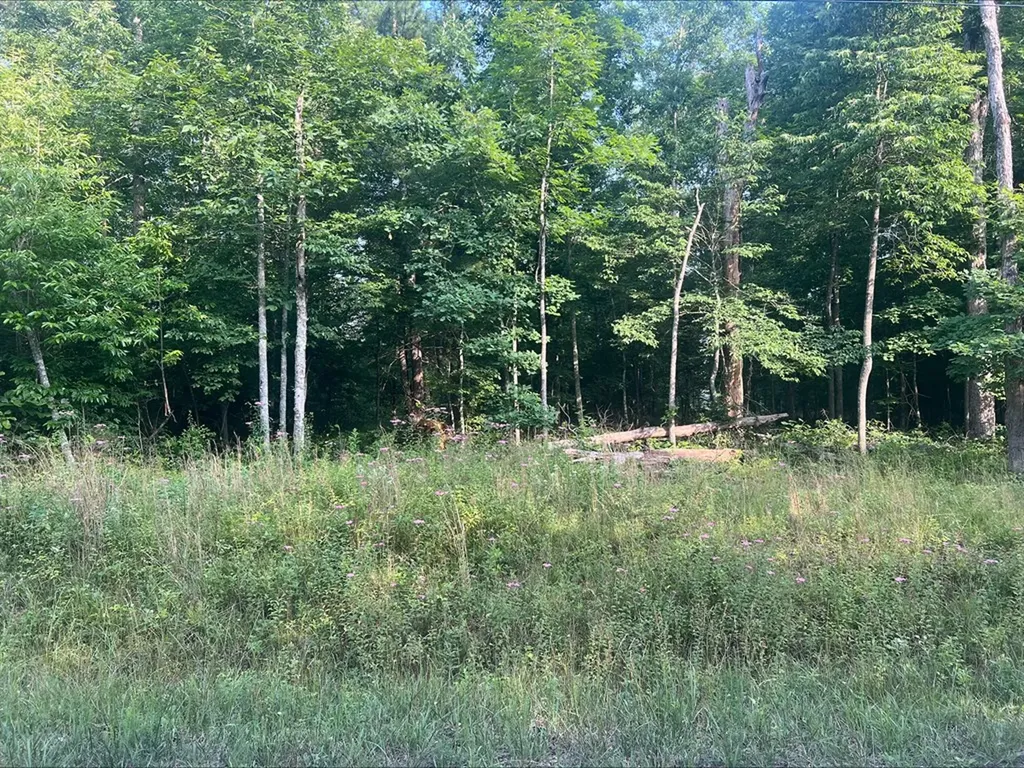 6152 Tomahawk Drive Crossville TN 38572