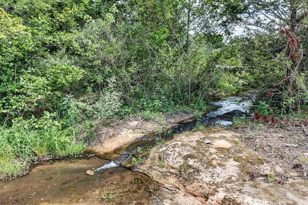 230 Amanda Drive Jamestown TN 38556