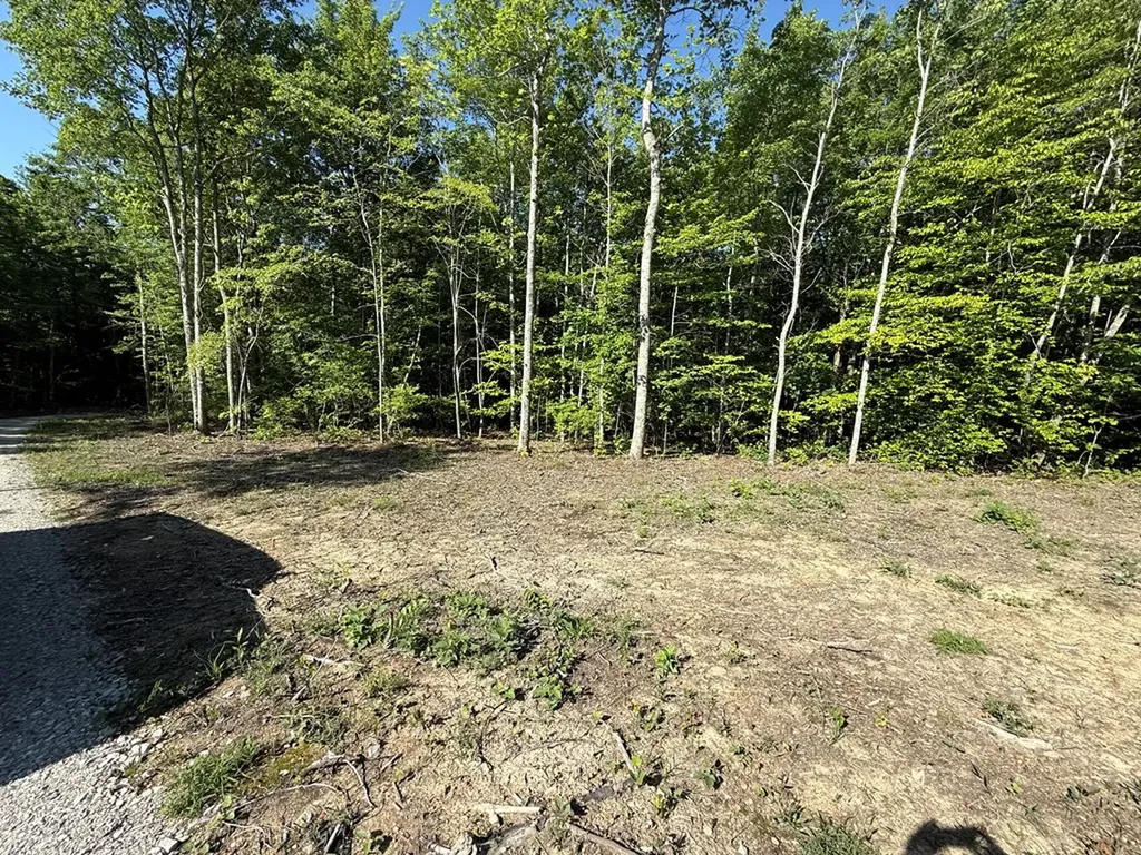 969 Lewallen Cemetery Road Sunbright TN 37872