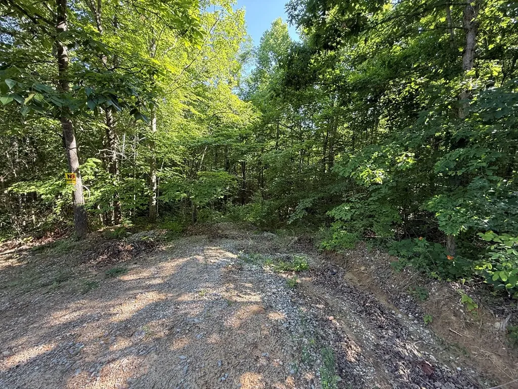 969 Lewallen Cemetery Road Sunbright TN 37872
