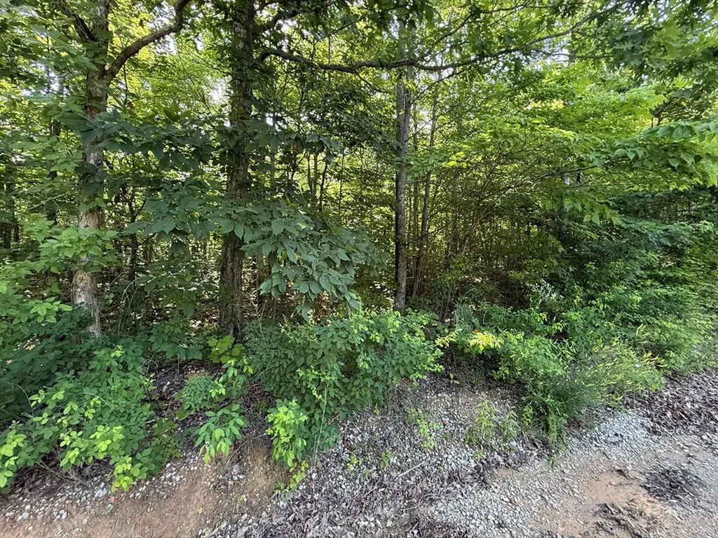 969 Lewallen Cemetery Road Sunbright TN 37872