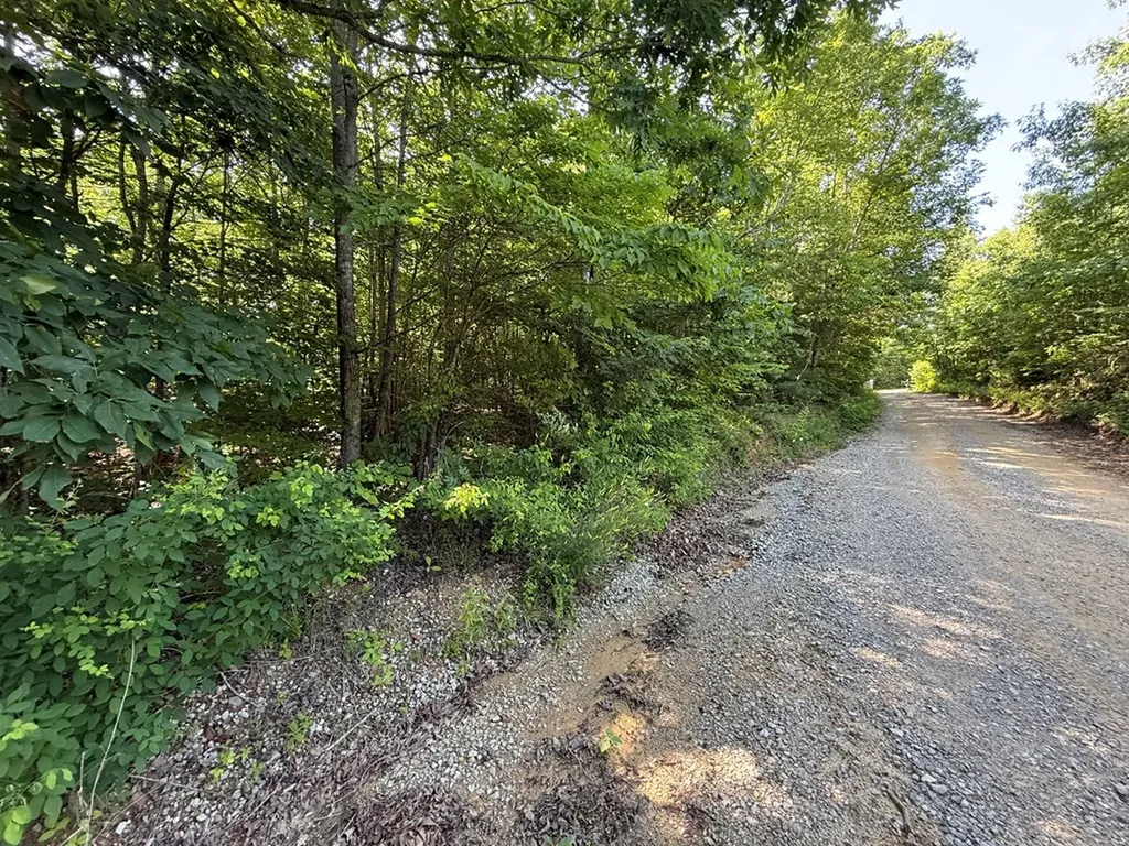 969 Lewallen Cemetery Road Sunbright TN 37872