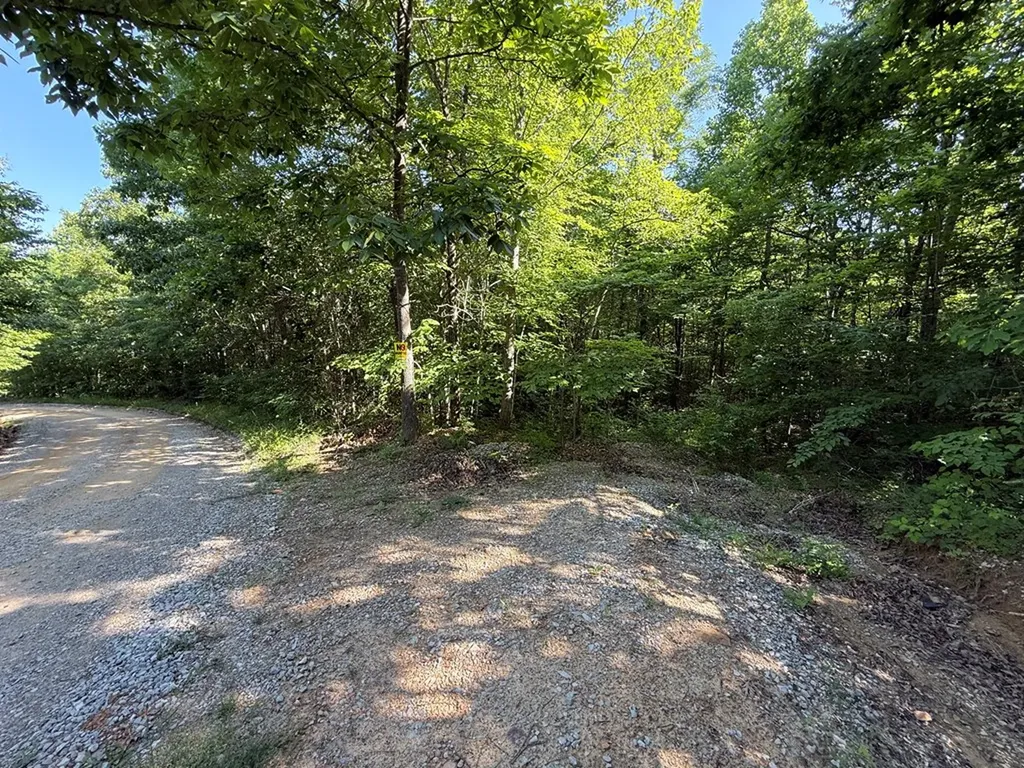 969 Lewallen Cemetery Road Sunbright TN 37872