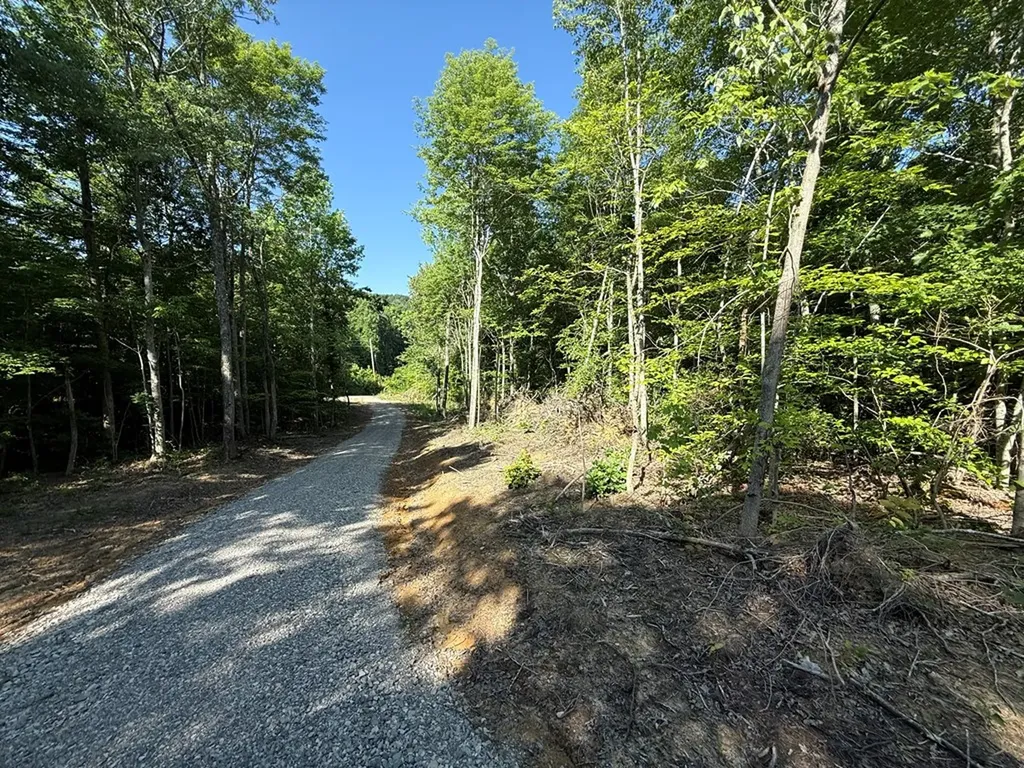 969 Lewallen Cemetery Road Sunbright TN 37872