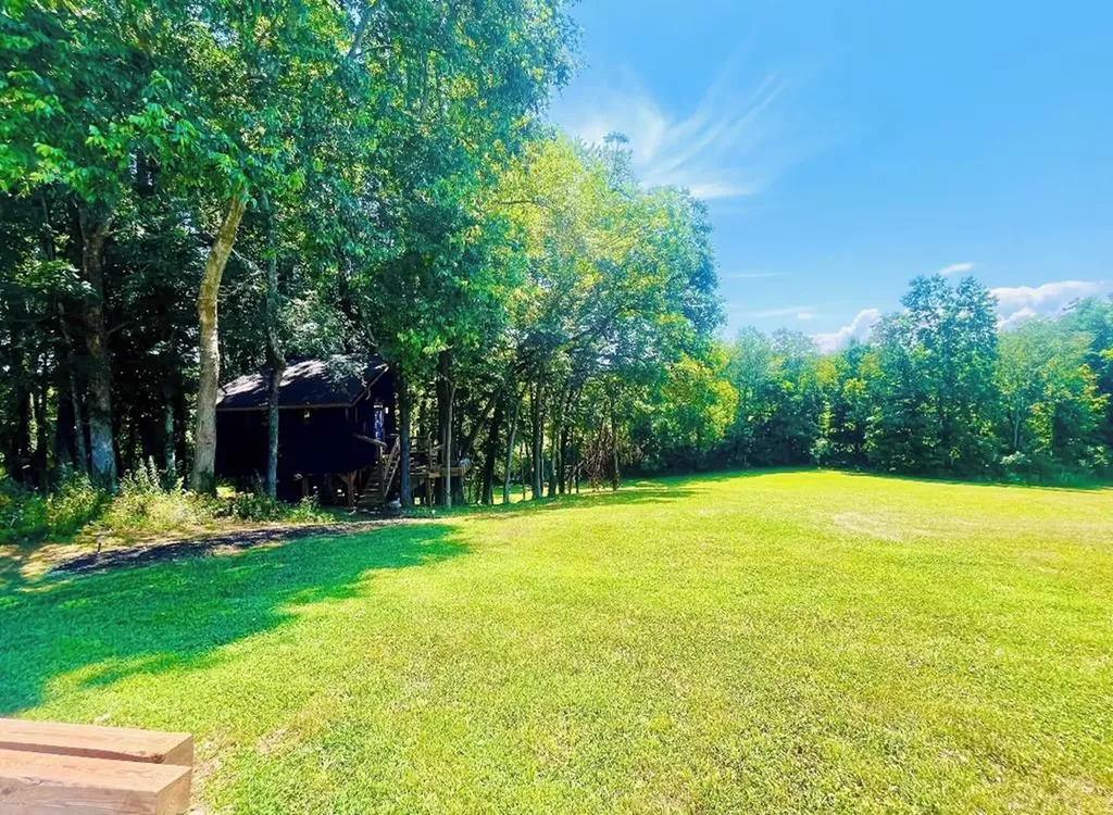 145 Gamble Street Doyle TN 38583