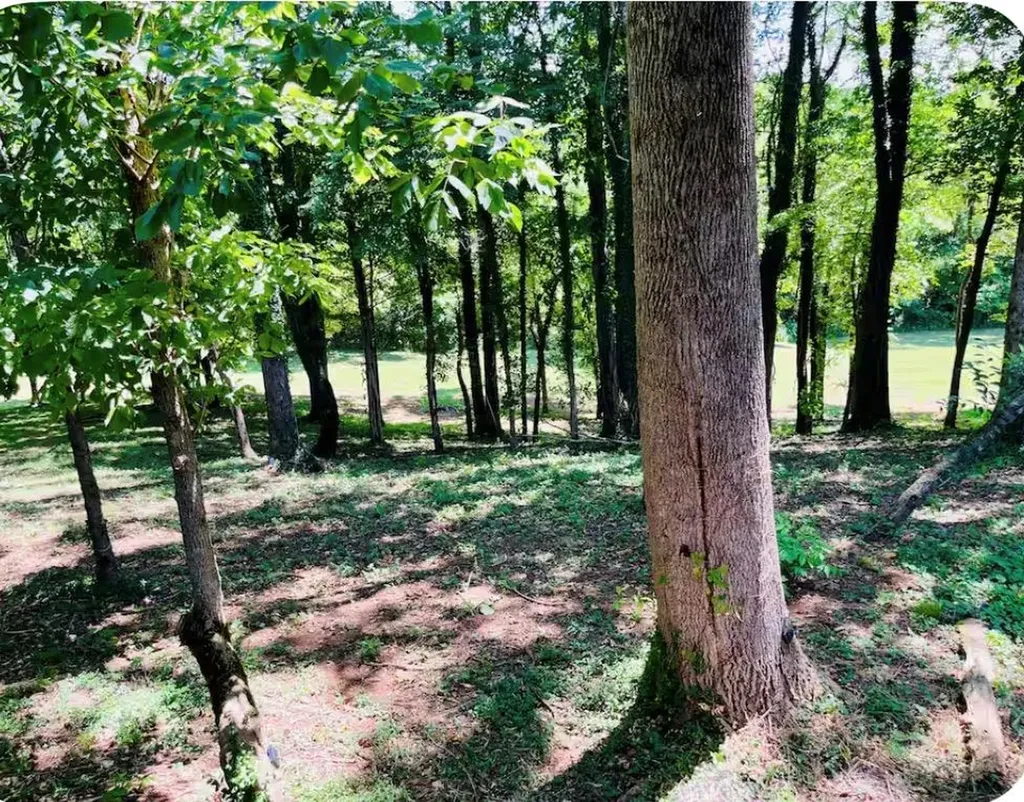 145 Gamble Street Doyle TN 38583