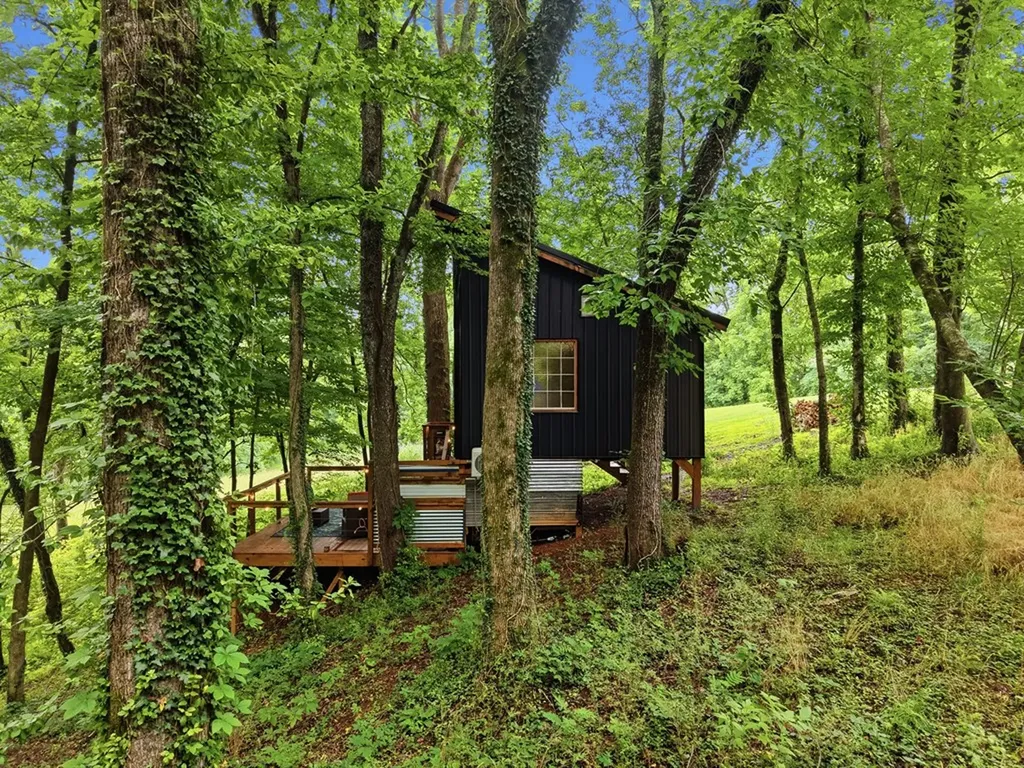 145 Gamble Street Doyle TN 38583