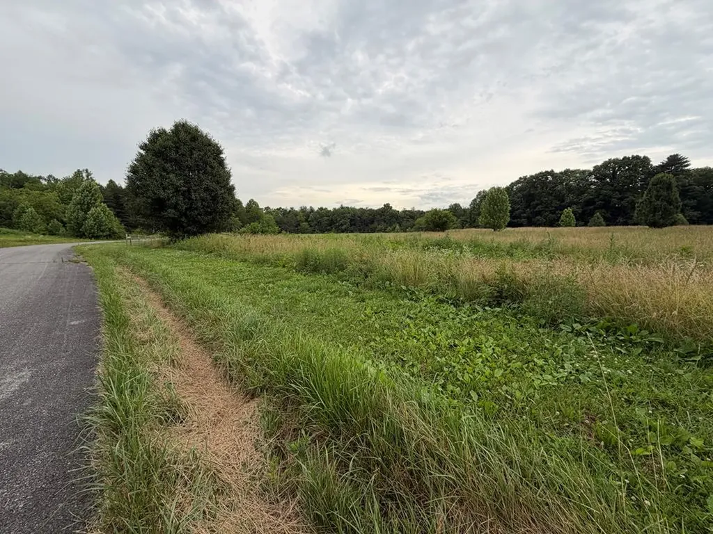 9.8 Ac Tyler Trail Jamestown TN 38556
