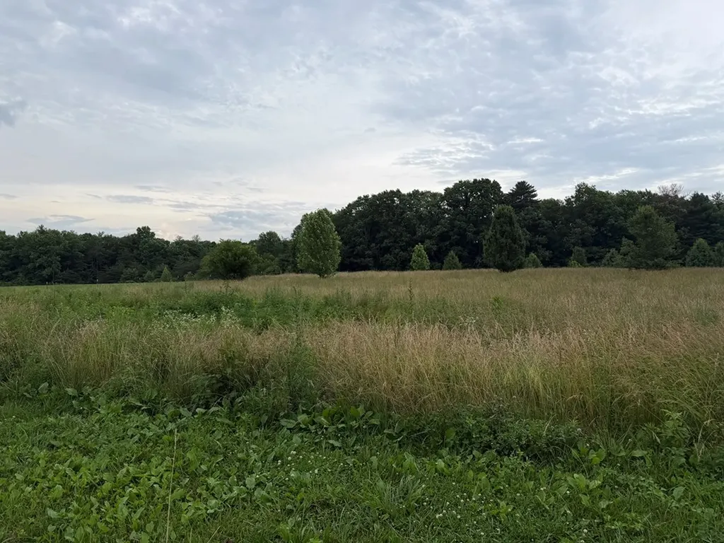 9.8 Ac Tyler Trail Jamestown TN 38556