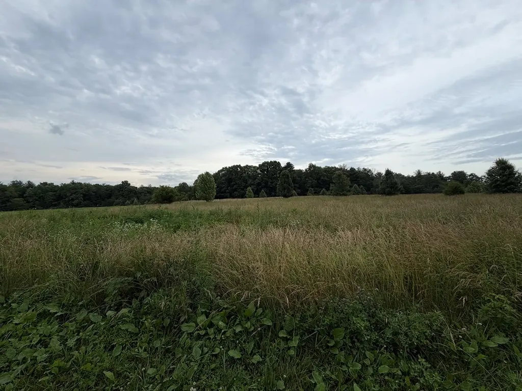 9.8 Ac Tyler Trail Jamestown TN 38556