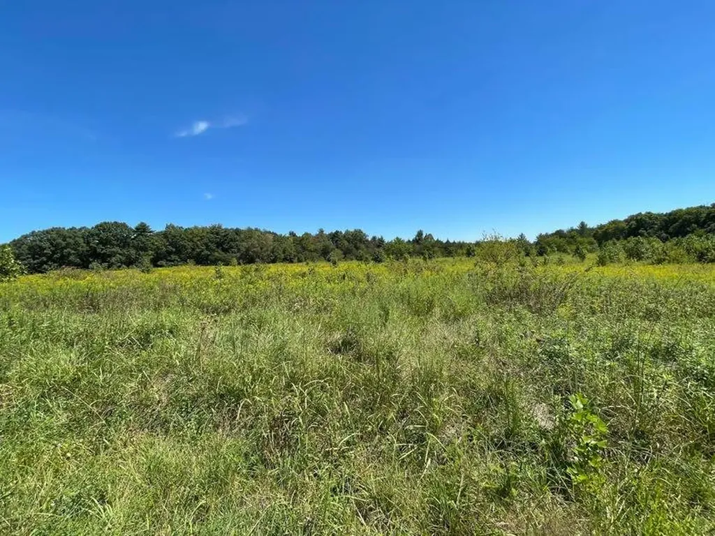 9.8 Ac Tyler Trail Jamestown TN 38556